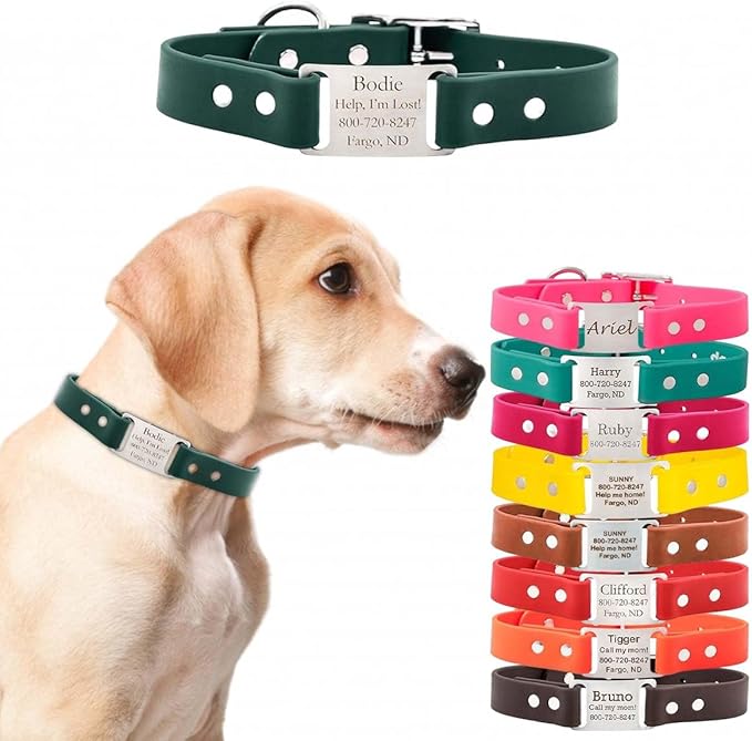 dogIDs Personalized Dog Collar – ScruffTag Custom Waterproof Biothane Dog Collar with Laser-Engraved Name, Durable & Odor-Resistant – USA Made | Hunter Green, 1 in x 20 in (Fits Neck Sizes 18-22 in)
