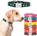 dogIDs Personalized Dog Collar – ScruffTag Custom Waterproof Biothane Dog Collar with Laser-Engraved Name, Durable & Odor-Resistant – USA Made | Hunter Green, 3/4 in x 16 in (Fits Neck Sizes 14-18 in)