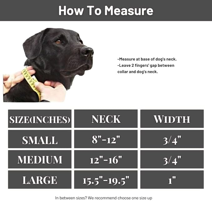 Waterproof Dog Collar, Soft Comfortable Pet Collars, Adjustable Odor Proof Heavy Duty Dog Collars Easy to Clean for Large, Medium Small Dogs by Bee N Buu (Black, Small (length8-12, Width 3/4"))