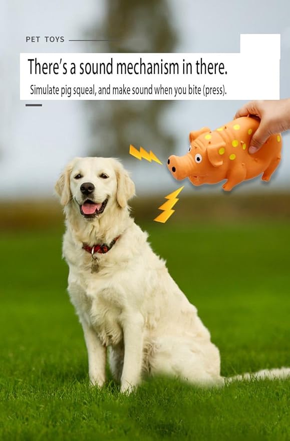 Pet Toys for Aggressive Chewers - Fun, Interactive, Indestructible Toys for Dogs (Orange)
