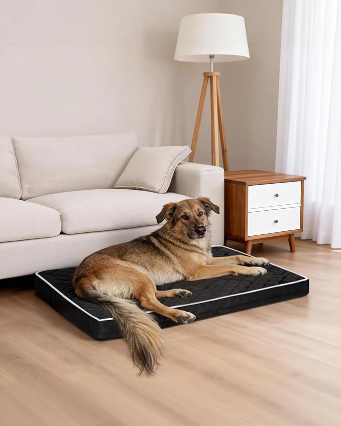 Orthopedic XL Dog Beds Large Sized Dog Waterproof Pet Kennel Pad with Removable Washable Cover and Non-Slip Bottom, 41x27 Inch, Black