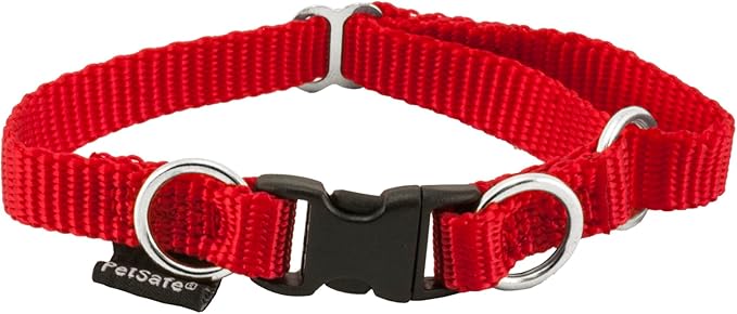 PetSafe KeepSafe Collar for Dogs - Protects Against Collar Accidents - Long Lasting - Durable - Adjustable - Breakaway - Outdoor-Safe - Small - 3/4 in. Wide - Red