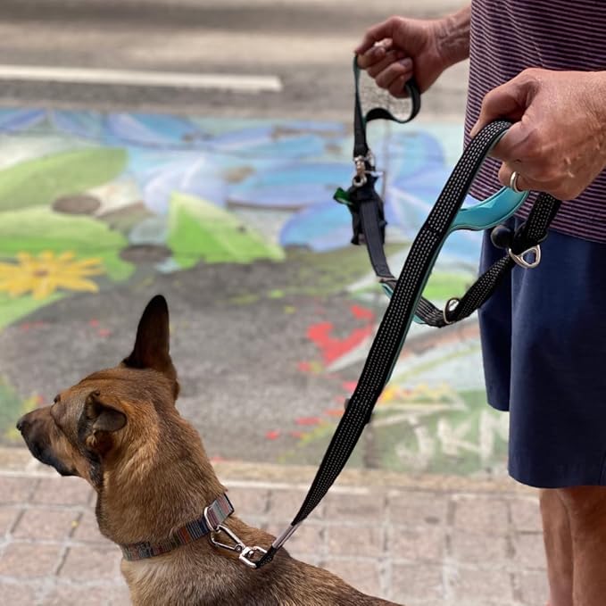 No Pull Dog Leash for Large Dogs – 6ft Highly Reflective Bungee, Heavy Duty Leash for Large Dogs, 4 Padded Handles, Strong Carabiner Clip & Rings, Includes Poop Bag Holder & Treat Pouch (Purple-Blue)
