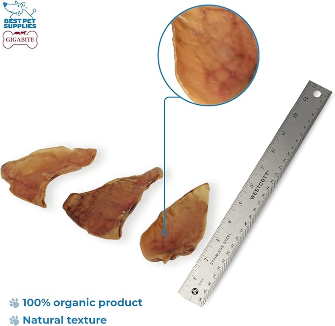 Best Pet Supplies GigaBite Roasted Pig Ears for Dogs - Natural Dog Chews, Roasted Pigs Ears, Safe for Puppies and Aggressive Chewers, Cleans Teeth and Gums - Whole Ears, Pack of 12
