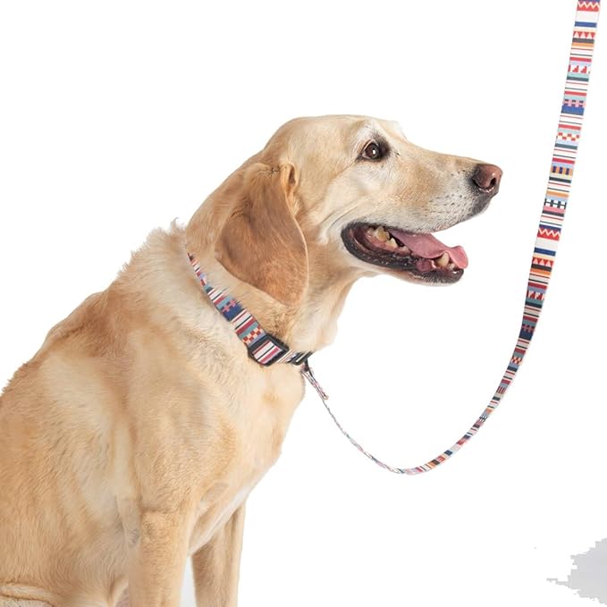 Pendleton Classics Adventure Leash - Falcon Cove, 1" w