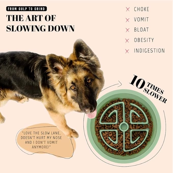 AVERYDAY Slow Feeder Dog Bowls for Large Breeds Fits Raised Feeding Station, Puzzle Dog Food Bowls to Slow Down Eating, Dogs Feeding Bowl with Non-Slip, Slows Feeder Pet Bowl for Wet and Dry Food