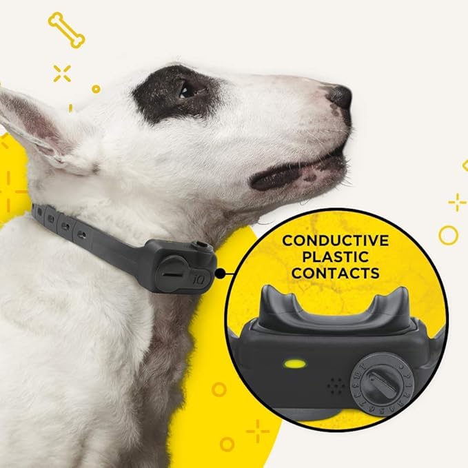 Dogtra iQ NO BARK Replaceable Battery Conductive Plastic Contact Points Compact Pink Collar