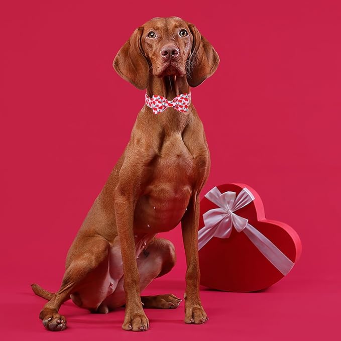 DOGWONG Valentine Dog Collar with Bow, Pink Cherry Heart Dog Collar Durable Soft Cotton Pet Dog Collar Cute Heart Valentines Day Puppy Necklace for Small Medium Large Dog
