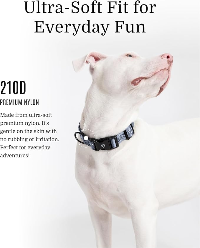 Fei & Eve Classic Dog Collar, Heavy Duty Adjustable Nylon Dog Collars with Quick-Release Buckle, Stylish & Comfortable for Daily Use, Sky Blue, M