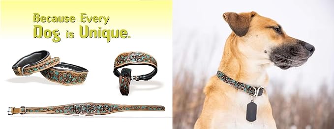 Majestic Ally Leather Dog Collar with Adjustable, Padded Fit for Walking, Hiking, and Running, Designer Western Wear for Puppies, Fancy Colors (Turquoise - Natural, Extra Small)