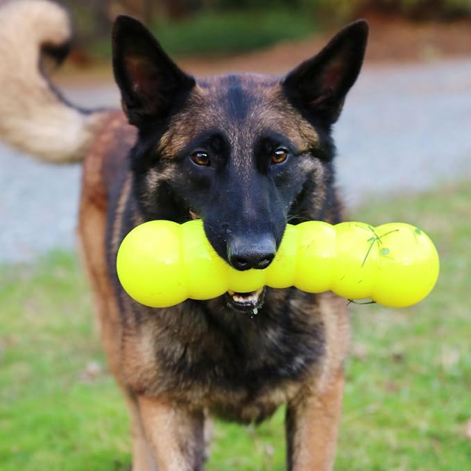 Ruff Dawg Dawg-Buster XL – Durable Dog Toy – Large, Tough Fetch Toy for Aggressive Chewers – High-Visibility Neon Colors – Floats, Bounces & Safe Play