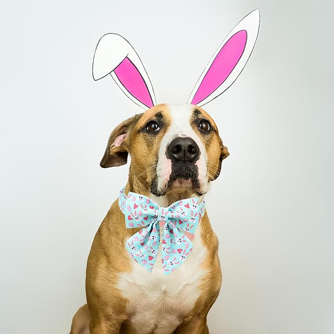 DOGWONG Cotton Easter Dog Collar with Bowtie, Soft Adjustable Blue Bunny Easter Day Dog Collar Cute Colorful Egg Puppy Collar for Small Medium Large Dog