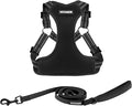 Best Pet Supplies Voyager Adjustable Step-in Flex Breathable Mesh Dog Harness for Small Medium Large Dogs Leash Set (Black), XS