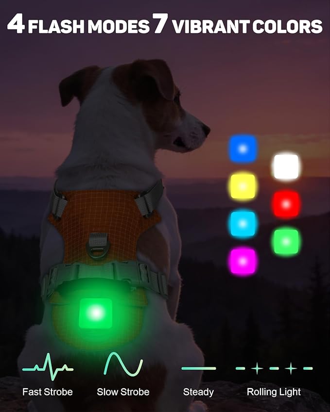 TagME No Pull Dog Harness with 2 Leash Clips,Lightweight & Visible for All-Day Walking,No Choke Pet Vest Includes AirTag Holder for Puppy,Flare Orange