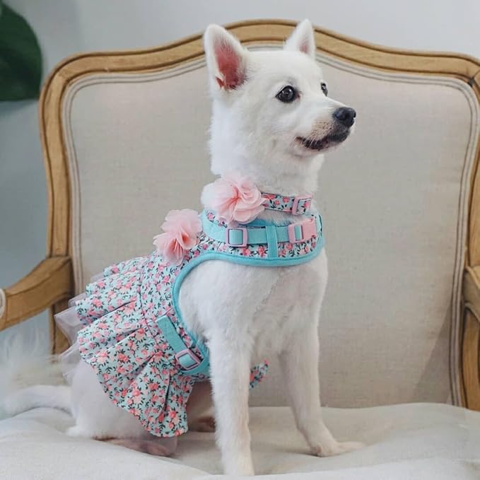 Blueberry Pet Made Well Cute Floral Print Adjustable Dog Collar in Light Blue with Pink Artificial Silk Flower, Medium, Neck 14.5"-20"