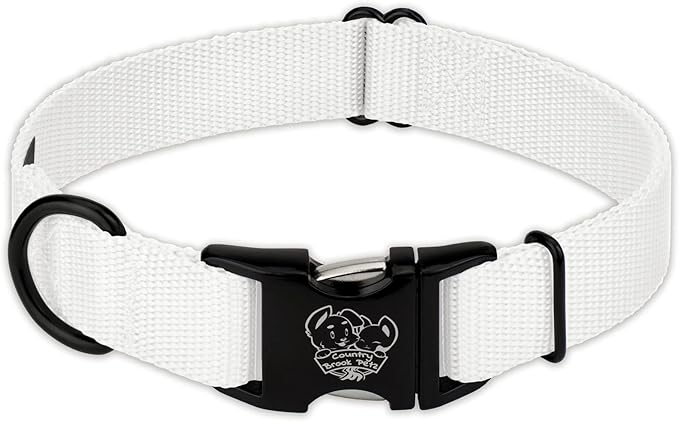 Country Brook Petz - Premium Nylon Dog Collar with Metal Buckle for Small Medium Large Breeds - 10+ Cool Colors (Medium, 3/4 Inch, White)