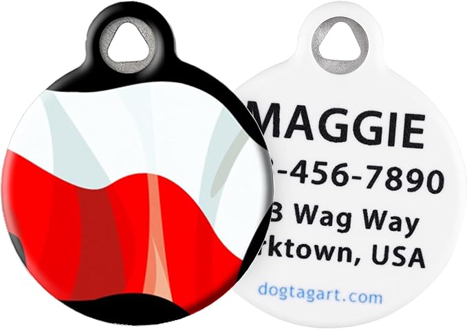 Dog Tag Art Personalized European Flags Pet ID Tags for Dogs and Cats, Poland Flag, Large