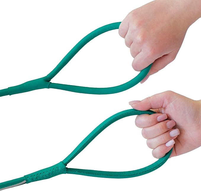 OOPSDOGGY Reflective Rolled Leather Dog Leash 6ft - Soft Training Lead for Small Medium Large Dogs Puppy - Heavy Duty Rope Puppies Leashes for Outdoor Walking Running (Teal, Small)