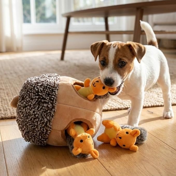 MODERN WAVE - Interactive Squeaky Plush Hide and Seek Squirrel Type Puzzle Toy for Dogs, Medium Size (Nut and Squirrels)
