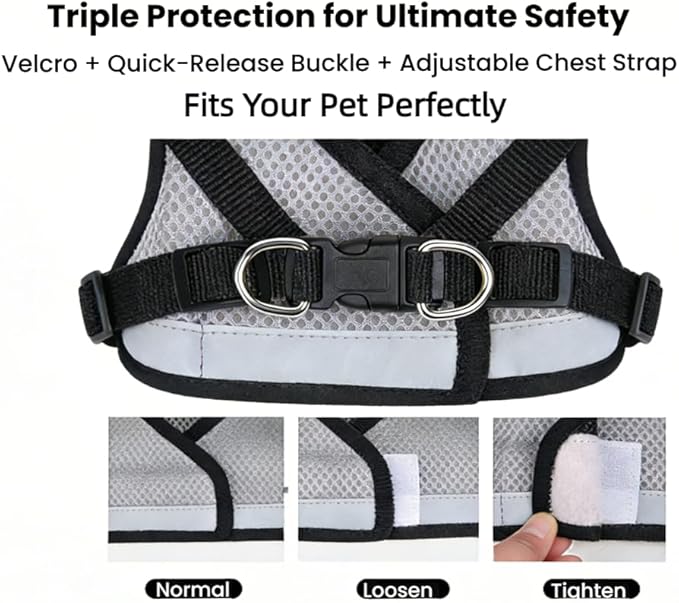 Dog Harness and Leash Set-No Pull No Choke Step-in Pet Harness for All Weather Lightweight Adjustable Cat Harness Breathable Soft Mesh Puppy Vest with Hook & Loop Fastener Buckles D-Rings-Black-XL