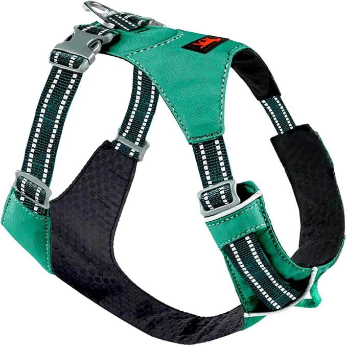 Tuff Pupper All-Day Wear Dog Harness | for Walking, Trail Running, Hiking | Front & Back Leash Clips | Reflective Trim | Easy On/Off Buckles | Lightweight Breathable | No Pull Design (XXS, Teal)