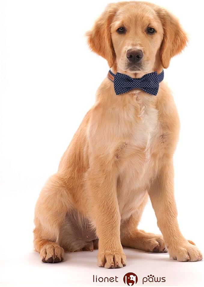 Lionet Paws Boy Dog Collar with Bowtie, Comfortable Adjustable Cute Navy Blue Bow Tie Collar for Male Dogs Gift, XLarge, Neck 16-26 inches