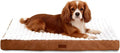 Orthopedic Dog Bed with Firm High-Density Egg Crate Foam Mattress,Machine Washable Cover & Non-Slip Bottom for Small Breeds & Toy Dogs (Brown, 23" L x 17" W x 3" H)