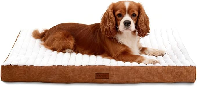 Orthopedic Dog Bed with Firm High-Density Egg Crate Foam Mattress,Machine Washable Cover & Non-Slip Bottom for Small Breeds & Toy Dogs (Brown, 23" L x 17" W x 3" H)