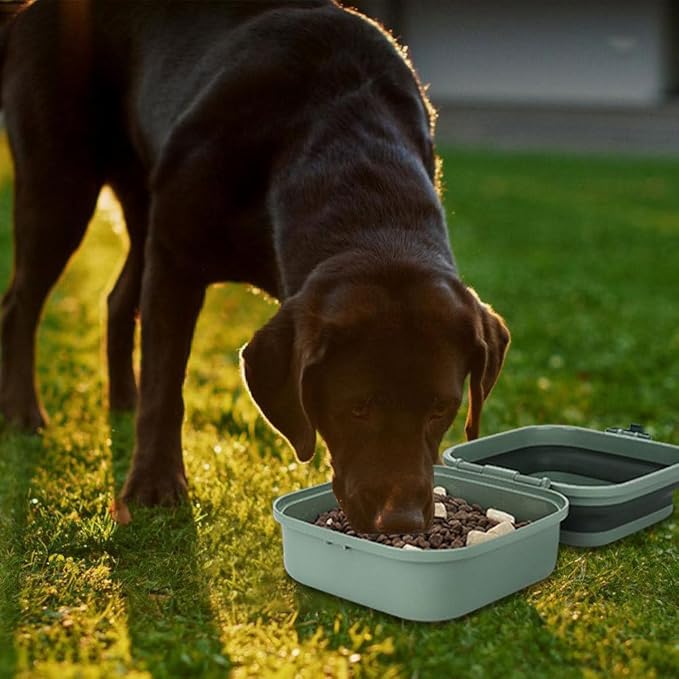 DONGKER 2 in 1 Collapsible Dog Bowl,400ml Travel Dog Food Bowl with Lid & Nylon Lanyard for Dogs Cats Walking Hiking Camping Traveling