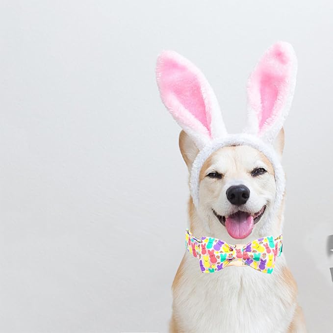 Elegant Little Tail Pink Bunny Print Easter Dog Collar, Adjustable S Size for Small Dogs