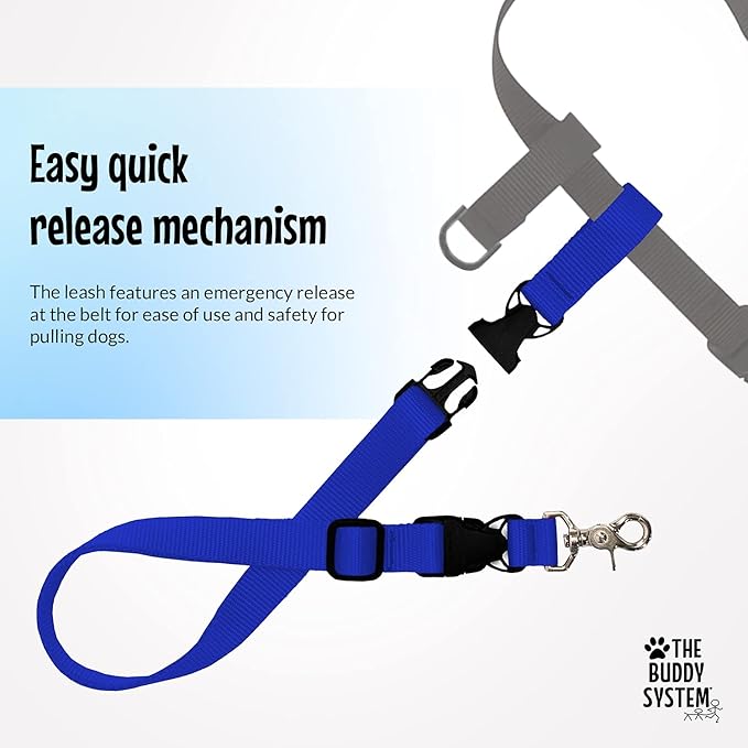 The Buddy System Hands Free Dog Leash, Adjustable Leash for Running, Jogging, Training and Service Dogs, Great for Small, Medium and Large Dogs, Made in USA (Royal Blue, X-Large Belt (33"- 60" Waist))