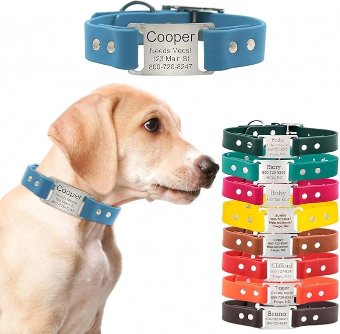 dogIDs Personalized Dog Collar – ScruffTag Custom Waterproof Biothane Dog Collar with Laser-Engraved Name, Durable & Odor-Resistant – USA Made | Tropical, 1 in x 16 in (Fits Neck Sizes 14-18 in)