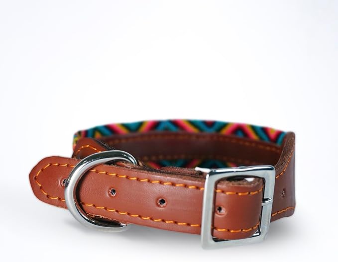 Eternia Premium Leather Dog Collar - Adjustable Handcrafted Collar for Small to Large Dogs (Green/Red, XL)