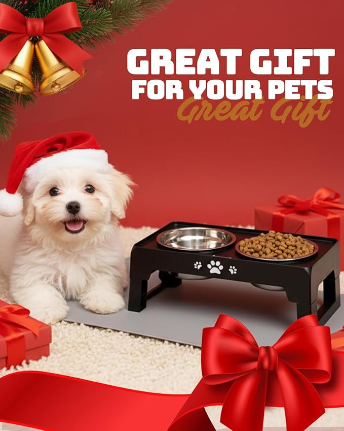 Elevated Dog Bowls, Dog Feeder with 2 Stainless Steel Dishes, 2 Heights Adjustable Raised Stand for Small Dogs, Food Dishes with Non-Slip Feet