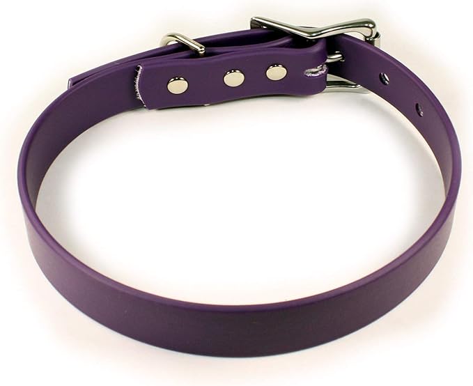 Waterproof Dog Collar (Medium: 14"-18", Purple)