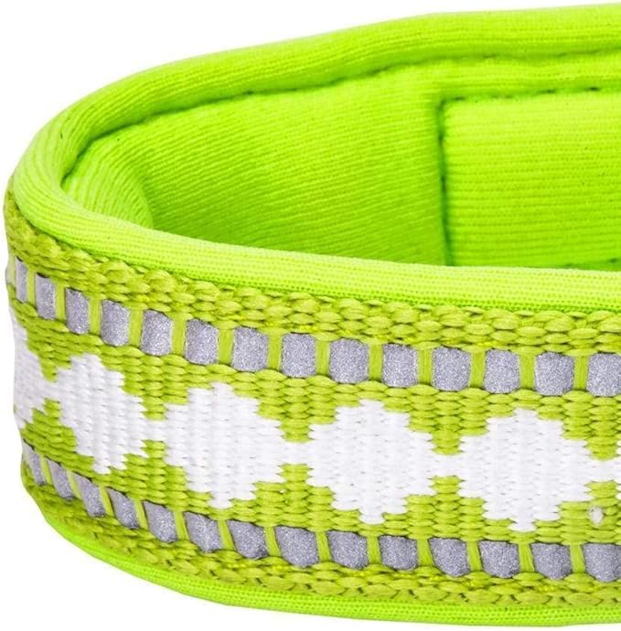 Blueberry Pet Reflective Jacquard Dog Collar with Neoprene Padding & Metal Buckle | Soft & Adjustable Safety Collar - Macaw Green, Neck 17-20.5", for Large Breed