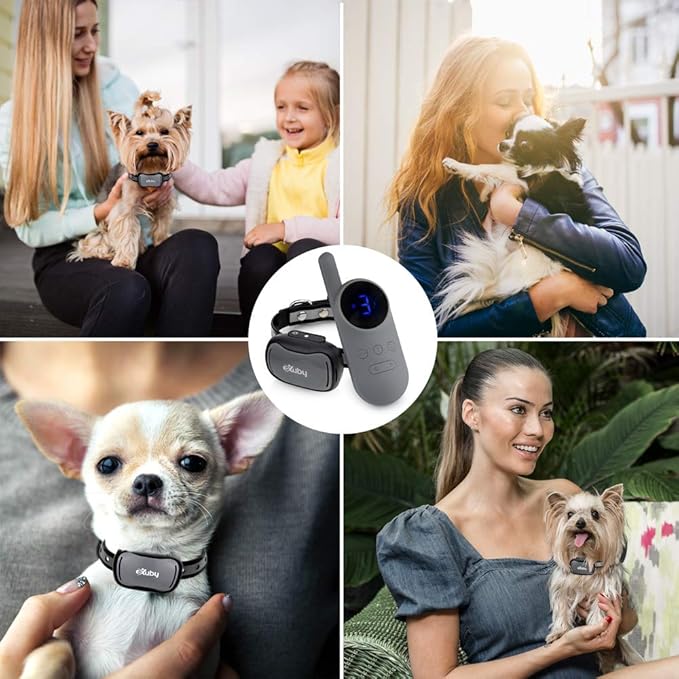 eXuby - Tiny Shock Collar for Small Dogs 5-15lbs - Smallest Collar on The Market - Sound, Vibration, & Shock - 9 Intensity Levels - Pocket-Size Remote - Long Battery Life - Water-Resistant - Gray
