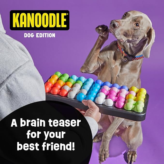 Brightkins Kanoodle Dog Edition Large - Interactive Puzzle Toys, Enrichment Slow Feeder, Training Tool for Puppies
