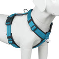 Plutus Pet No Pull Dog Harness, Adjustable Nylon Harness with Soft Padding, Reflective and Heavy Duty Dog Harness for Small, Medium, Large Dogs(Cyan, M)