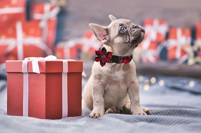Lionet Paws Christmas Dog Collar with Flower, Dog Flower Collar with Metal Buckle for Dogs, Adjustable Comfortable Dog Collar Girl Gift, M, Neck 13.5-22 in