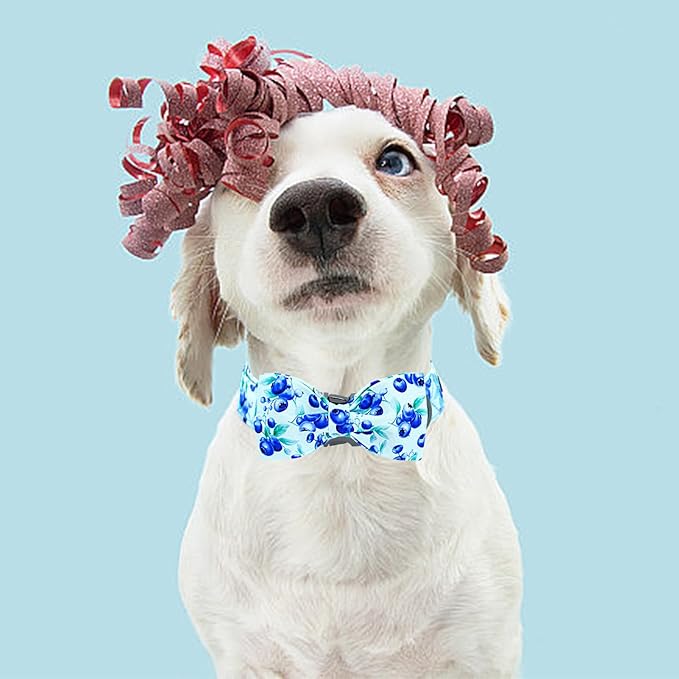 Lionheart glory Dog Bow Collar Blueberries Print Collars for Large Dogs, Spring Summer Cute Duty Adjustable Dog Collar with Bowtie Pet Collars Bows Pet Gift
