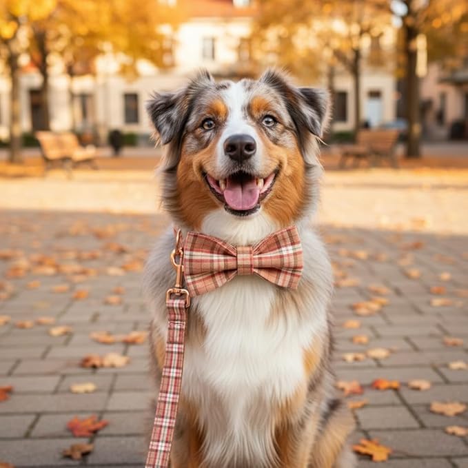 PETDURO Personalized Plaid Dog Collar Orange - Engraved Name and Phone Number on Rose Gold Metal Buckle - Custom for Small Medium Large Boy Girl Dogs - Add Leash Bow Tie via Customize Now