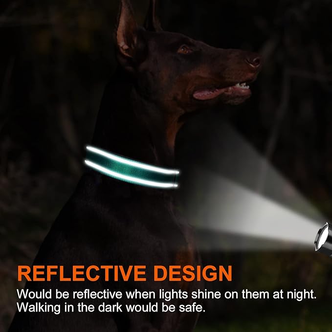 Joytale Personalized Dog Collars with Engraved Name Plate, Silent No Jingle Custom Nylon Collar with Fixed ID Tag, Reflective Soft Neoprene Padded Breathable for XLarge Dogs, Teal
