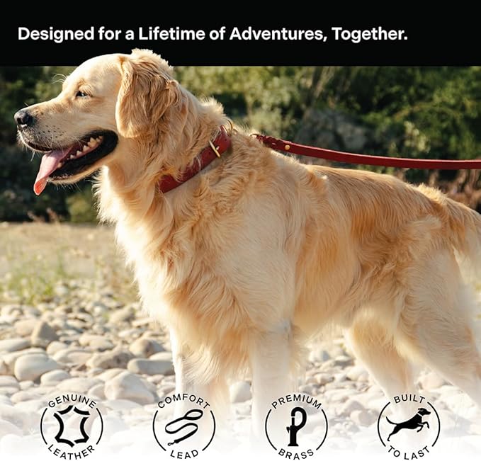 Scout Supply Classic Leather Dog Leash | Strong Heavy Duty Thick Full Grain Leather | Waterproof & Rust-Proof Brass Hardware (Red, L: 4.5 ft x 2/3 in)