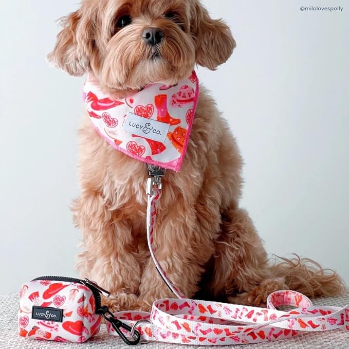 Howdy, Honey Leash