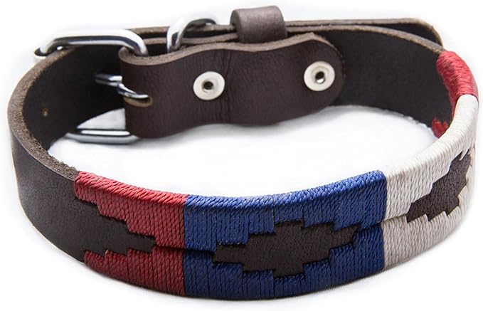 Gaucho Goods Leather Big Dog Collar - The Patriot (XL)