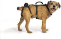 Help 'Em Up® - Dog Lift Harness│ Adjustable Lifting Harness for Dogs │ Full Body Support, Rear Leg Support (Conventional, Small)