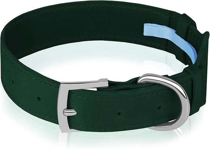 Leather Dog Collar with Airtag Holder - Apple Air Tag Dog Collars - Soft Tracking GPS Pet Collar for Small Medium Large Dogs Breed Puppy (Green, M, 12"-15" Neck Fit)