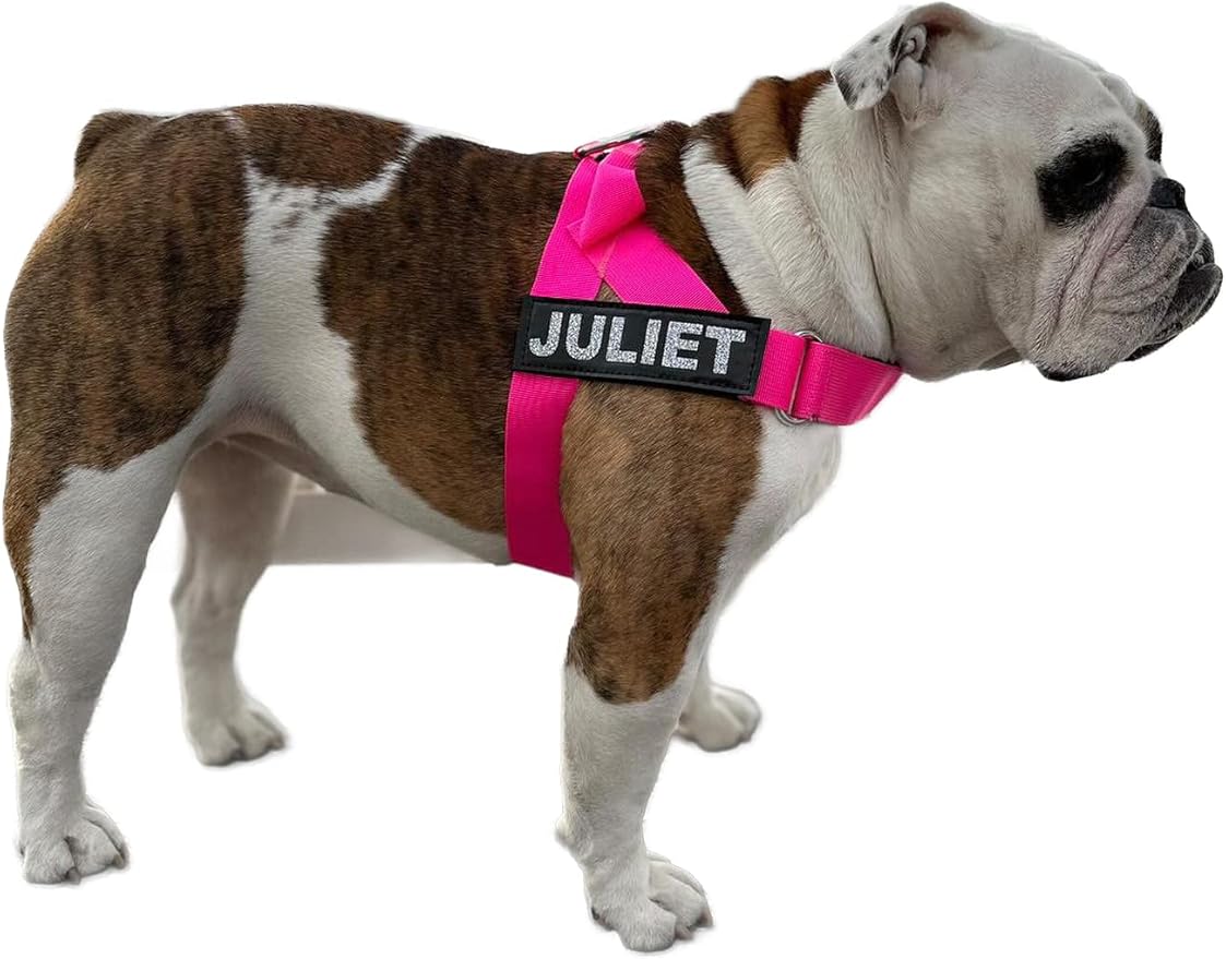BULLHUG Adjustable Dog Harness– No Pull, No Choke – for English Bulldogs, French Bulldogs, Pugs & Broad-Chested Breeds – Easy, Safe Walks (NEON Pink, Medium)