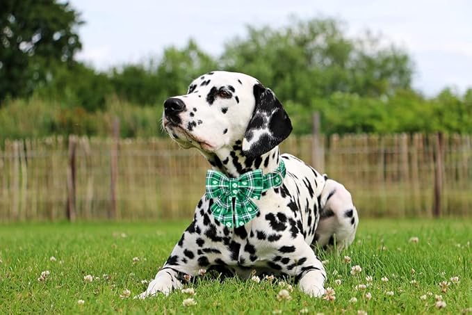 Lionet Paws St Patricks Day Dog Collar with Bowtie, Irish Green Shamrock Clover Sailor Bow Collar with Metal Buckle for Dogs and Cats, Adjustable Cute Dog Collar Girl, S, Neck 10-16 in